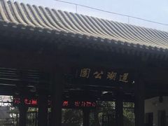 -莲湖公园