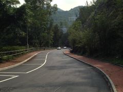 -大埔公路-马料水段香港中文大学(公交站)