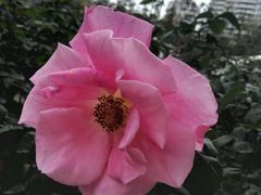 -人民公园(罗湖区)