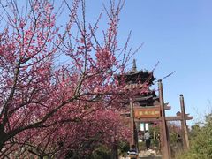 -杭州半山国家森林公园