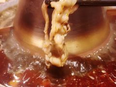 -京炭铜锅涮肉·羊蝎子·羊肉炉(保利·时光里店)