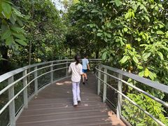 -新加坡飞禽公园