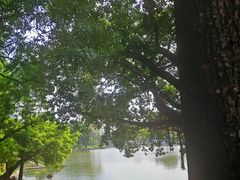 -荔湾湖公园
