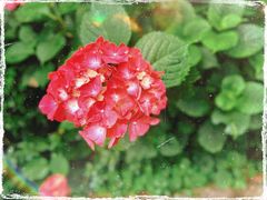 -普陀山风景区-佛顶山