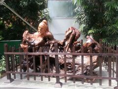 android_upload_pic-龙达温泉生态城