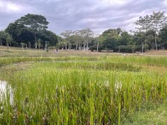 -福田红树林生态公园