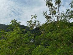 -马峦山郊野公园
