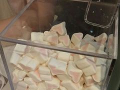 -狐狸和向日葵(北京路店)
