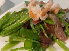 -云中小雅