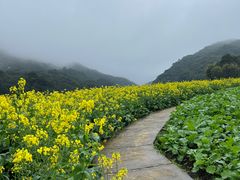 -广州市石门国家森林公园