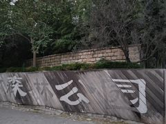 -上海滨江森林公园