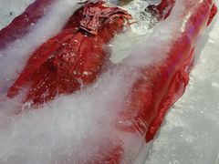 -E+有冰工厂·昆仑寒宫2(五角场店)