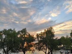 -宝安西湾红树林湿地公园