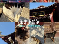 -长春观
