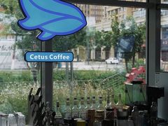 -Cetus coffee鲸鱼座咖啡·拼豆(二仙桥公园店)