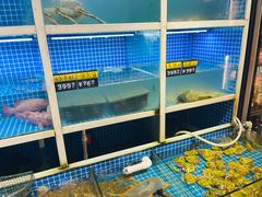 -金龙·打边炉(南京西路店)