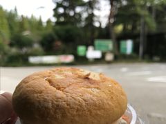 -神户市立六甲山牧场