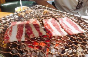 Wagyu Prime Snowflake Rear Breast