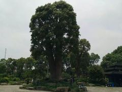 -韩湘水博园