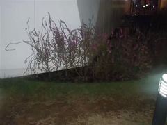 -兰剑驾校(汉阳校区)