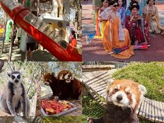 -水上乐园·欢乐世界