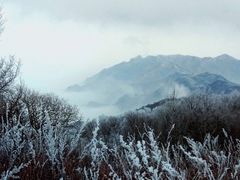 -驼梁风景区