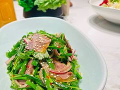 草包牛肉-真地道京味府·鲜橙烤鸭·北京菜(朝外大街东大桥店)