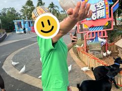 -三亚海昌梦幻海洋不夜城