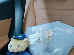 -上海星瀚奔驰4S店(红柳路店)