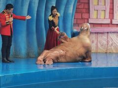 -华夏文旅海洋公园