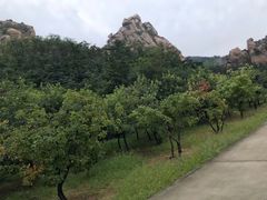-太和山风景区