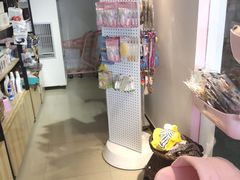 -70cat德文卷毛猫·缅因猫纯种猫舍