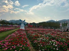 -盈香心动乐园