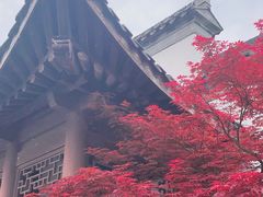 -武汉园博园(武汉自然博物馆)