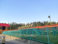 -泉城欧乐堡梦幻世界