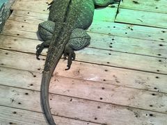 -石家庄市动物园