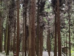 -娄山关景区