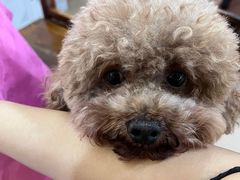 -南沙十九涌渔人码头-南门