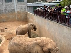 -西霞口神雕山野生动物世界