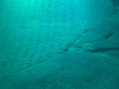-白鹤梁水下博物馆