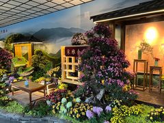 -杭州植物园