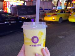 -一只酸奶牛(八一路店)