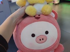 -PAWTOY爪e玩偶店(天兴罗斯福店)