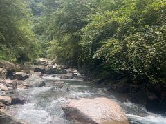 -西岭雪山大飞水景区