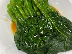 -百福麵家(新馬路店)