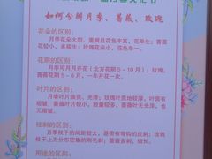 -迎泽公园