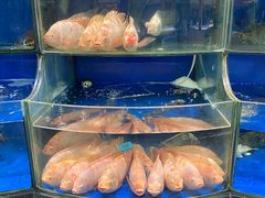 -果蔬好生活超市(东湖店)