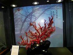 -绮丽珊瑚(台北101旗舰门市店)