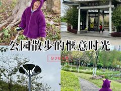 -映月湖公园
