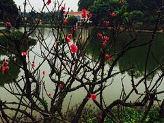 -南国桃园旅游度假区